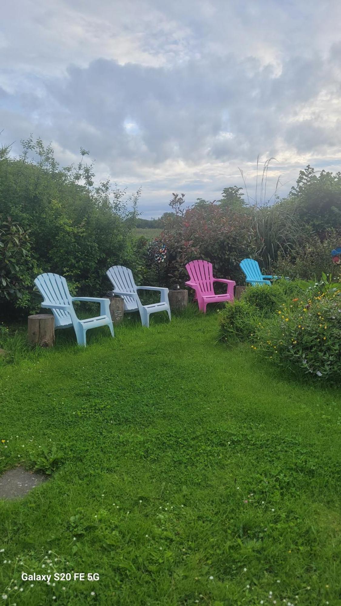 Salmon Island View Apartment Dromineer Екстериор снимка